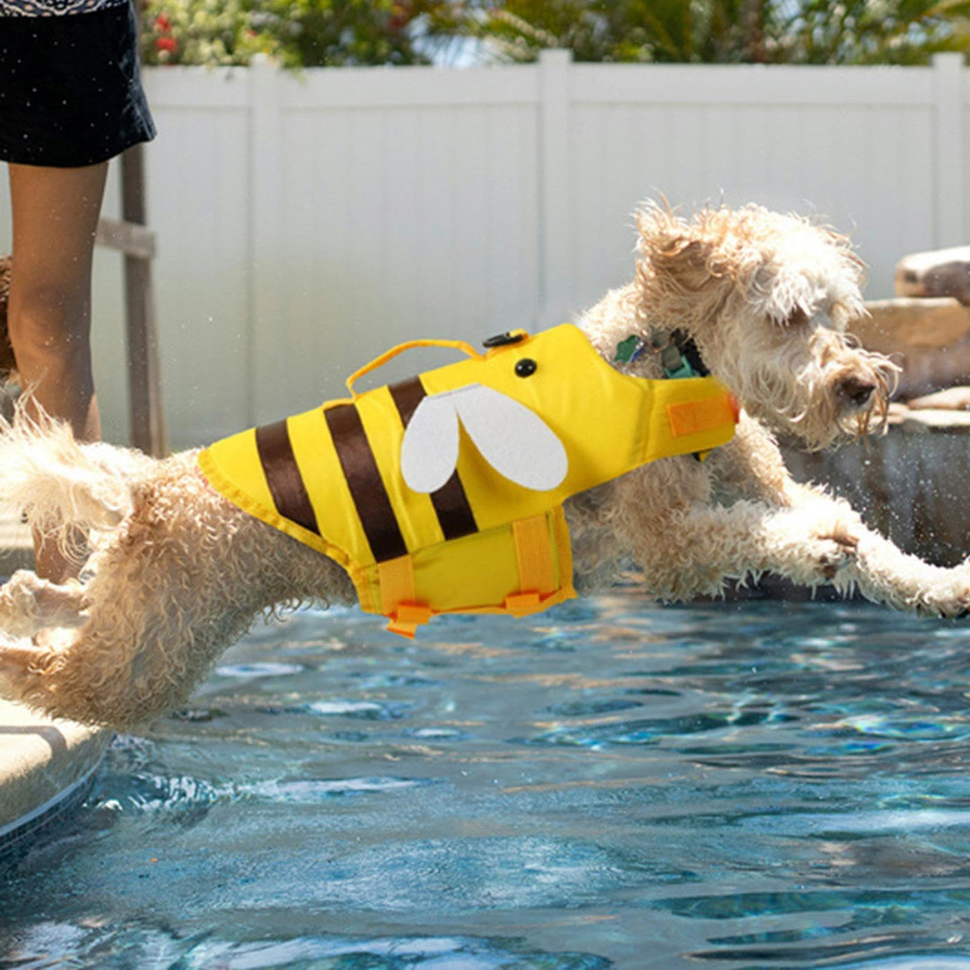 Gilet de sauvetage pour Chien, Gilet de sauvetage pour Chiens, Léger et sans danger pour les sports nautiques, Gilet de sauvetage pour chien avec Poignée, Gilet de sauvetage pour animaux de compagnie, Gilet de sauvetage pour chien à haute flottabilité