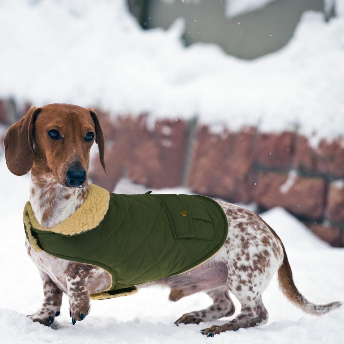 Winter Coat Dog Coat, Warm Winter Jackets with Fleece for Dogs
