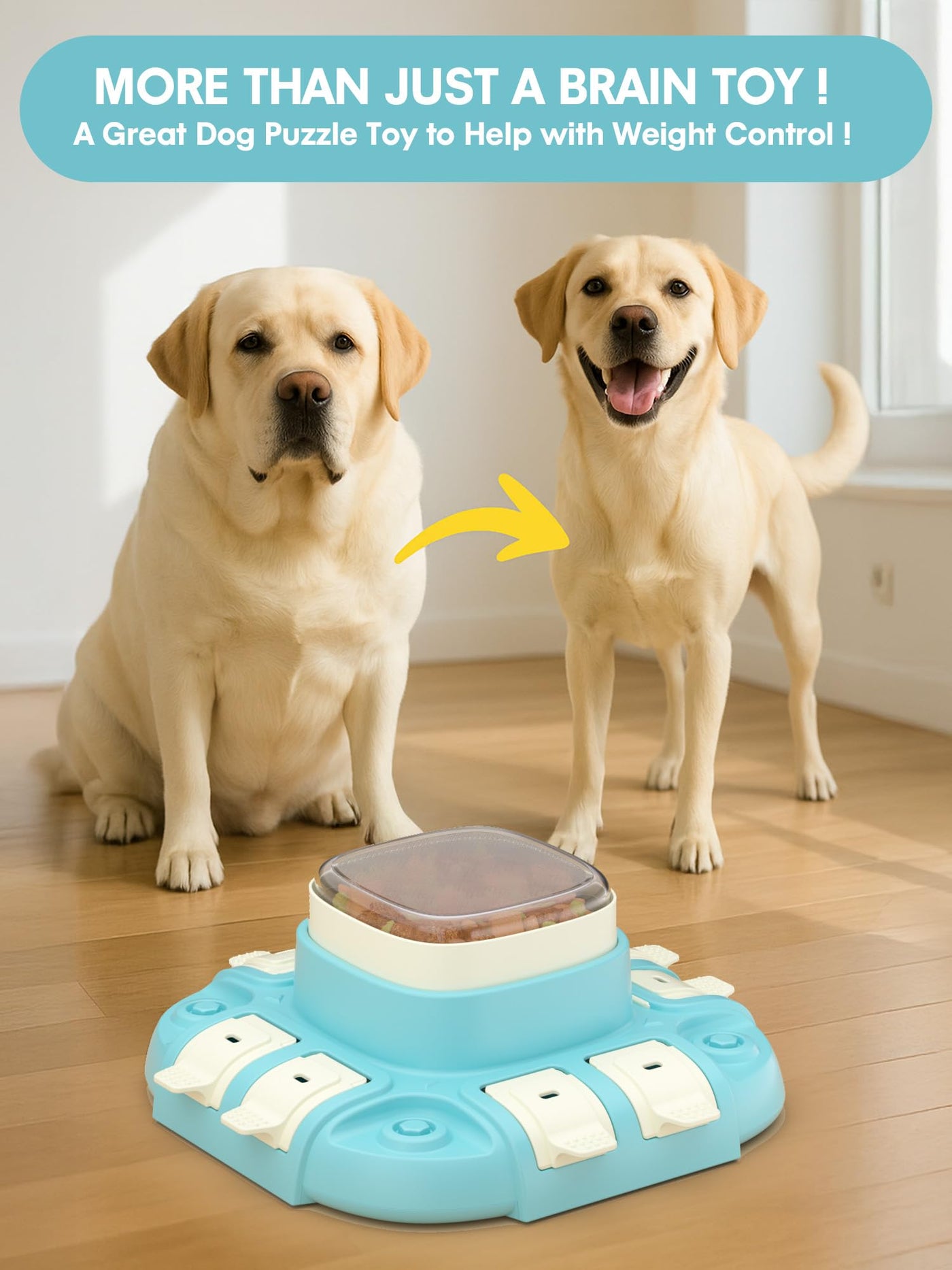 Intelligence de jouet pour Chien, Mangeoire Lente pour chiens, Jouet d'intelligence de chien pour Chiens Petits/moyens / Grands Chiens Jouet Intelligent
