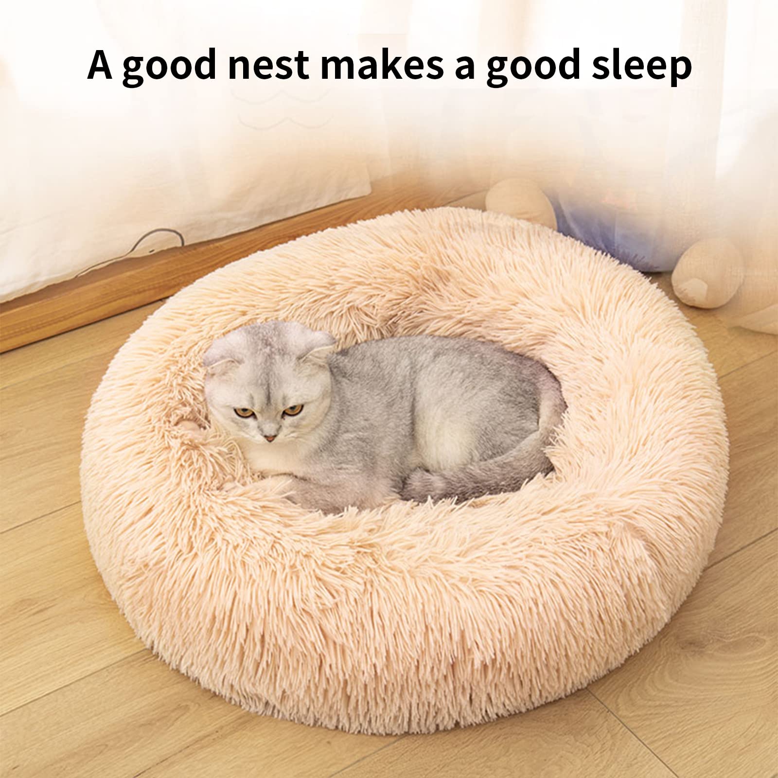 Katzenbetten für Hauskatzen