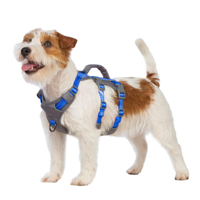 Reflective Dog Harness with Handle