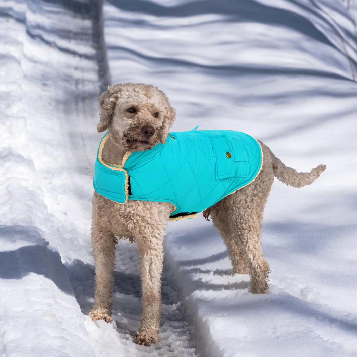 Winter Coat Dog Coat, Warm Winter Jackets with Fleece for Dogs