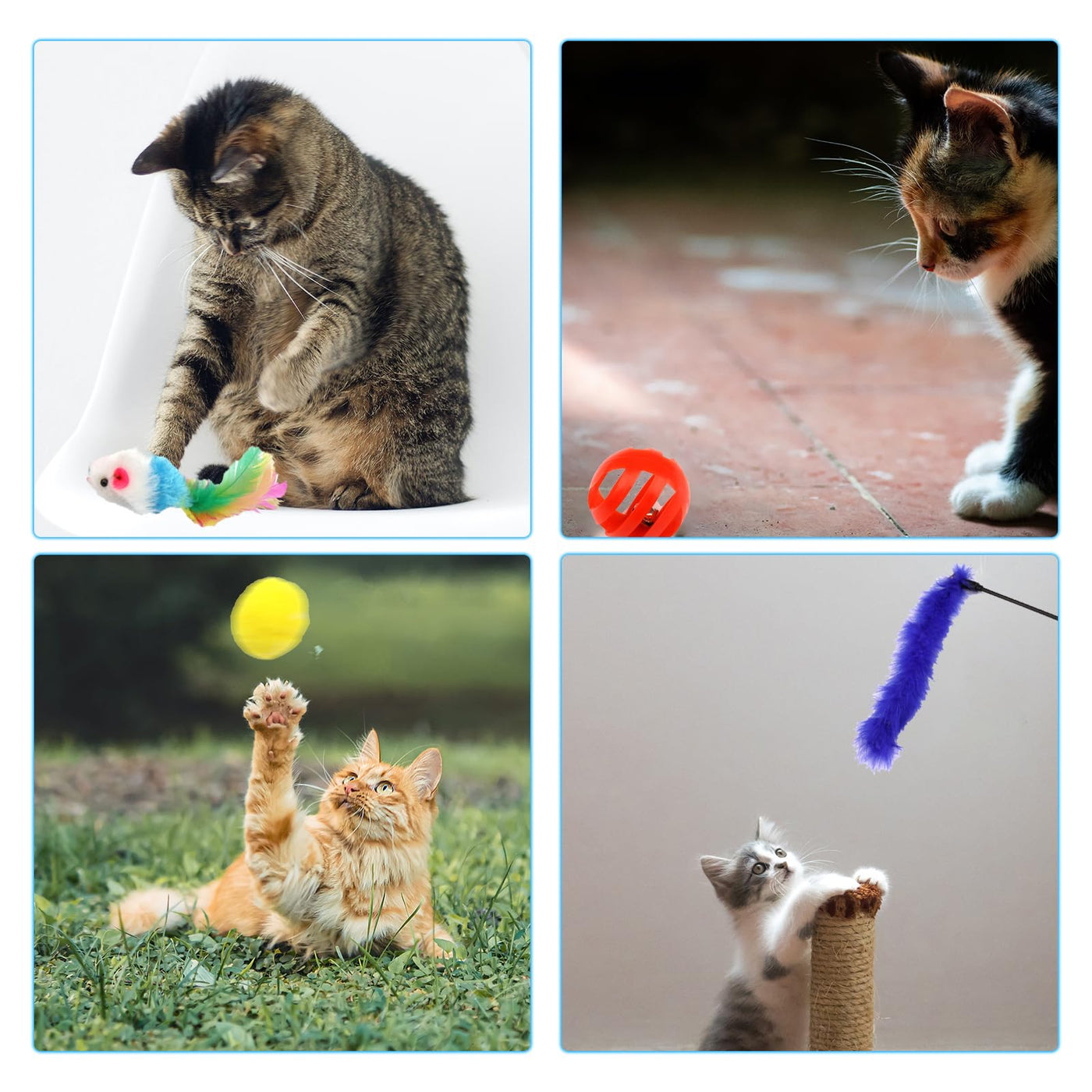 Pack de 31 Jouets pour Chat avec Tunnel pour Chat, Balles, Jouet pour Chat, Souris, Jouet en Plumes, Peluche, Jouet Interactif pour Chat pour Chats, Accessoires pour Chat