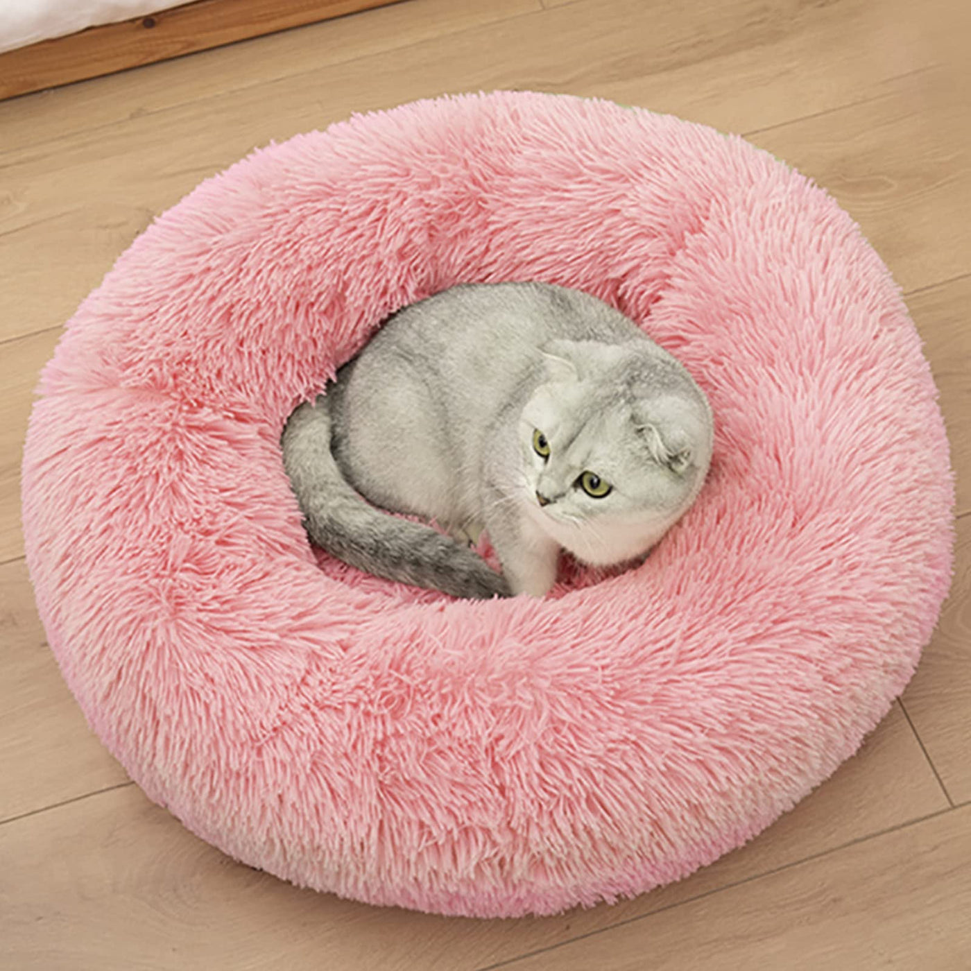 Cat Beds for Indoor Cats, Dog Bed for Small Melium Large Dogs