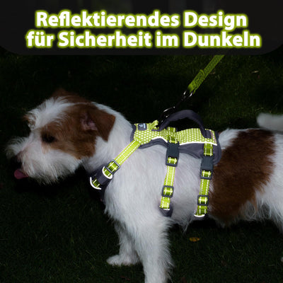 Harnais Réfléchissant pour Chien avec Poignée
