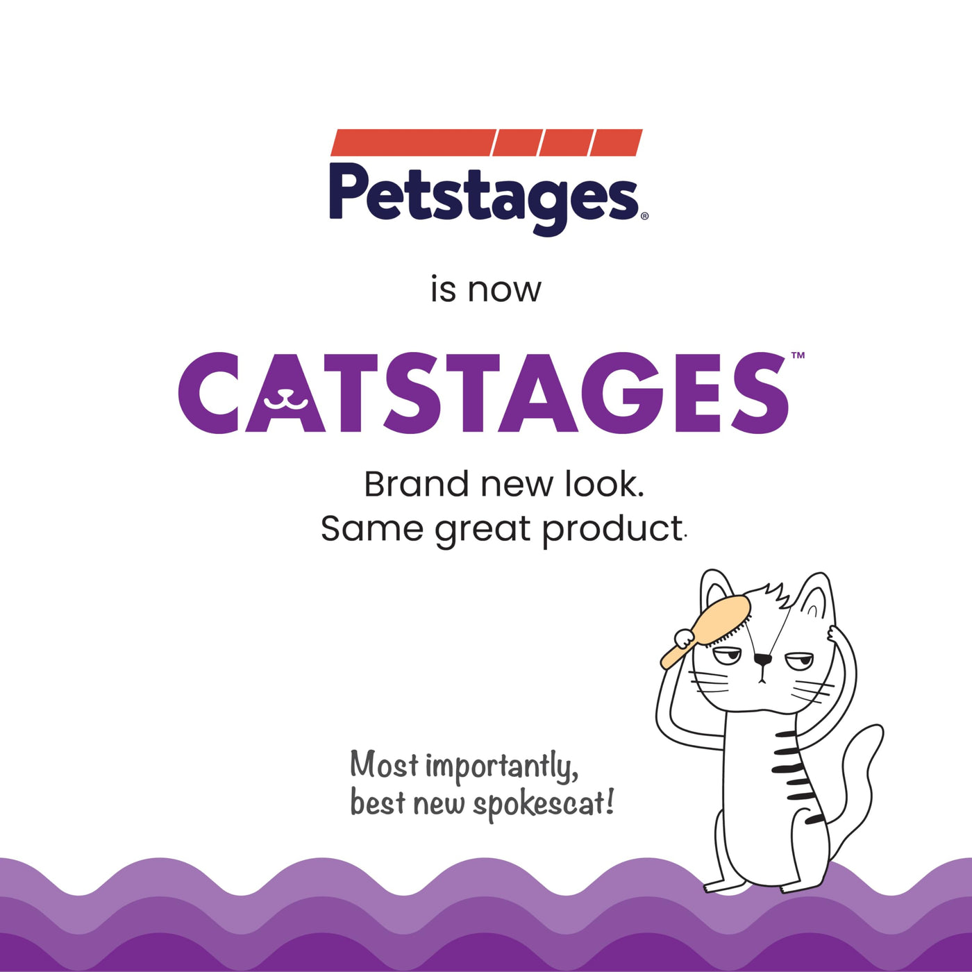 Petstages Buggin Out Puzzle Play - Interactive Cat Toy for Treats