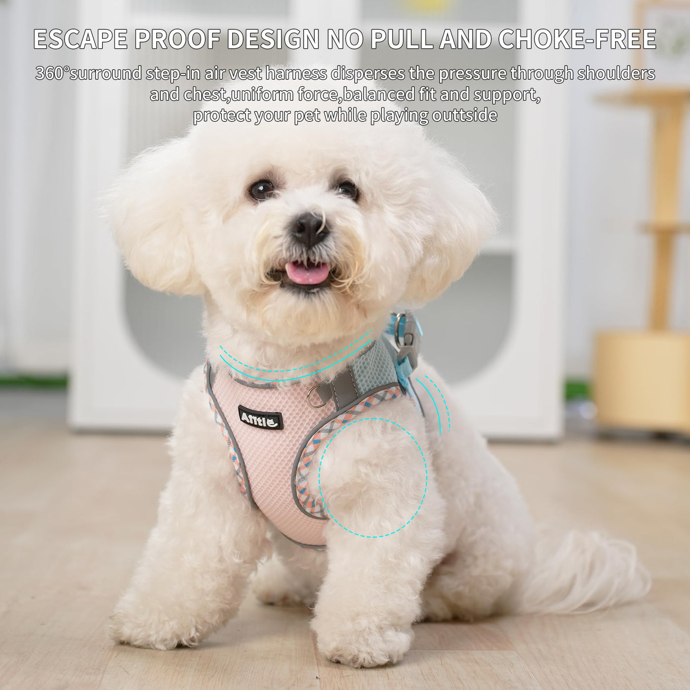 Gilet pour tous les temps, vaisselle réfléchissante pour animaux de compagnie