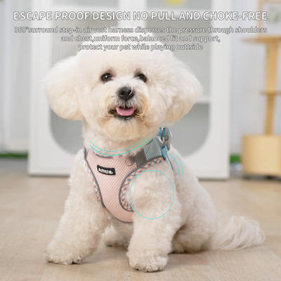 Gilet pour tous les temps, vaisselle réfléchissante pour animaux de compagnie