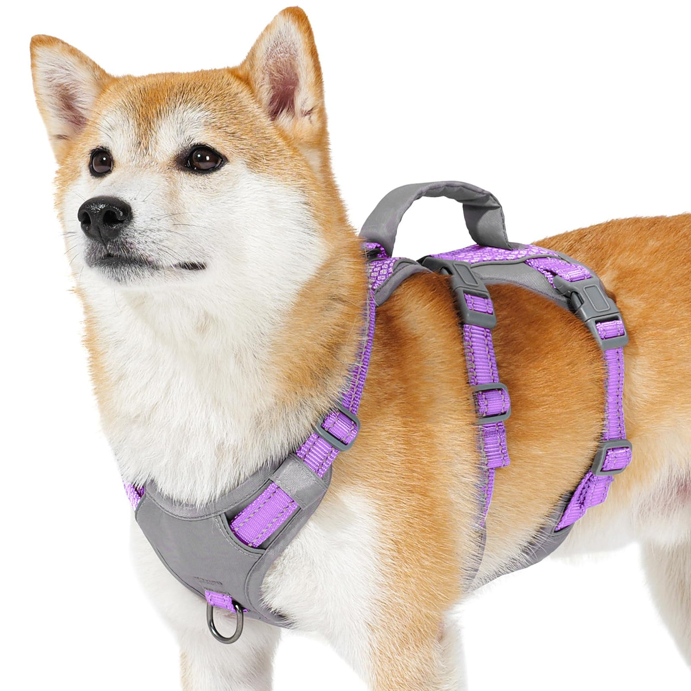 Reflective Dog Harness with Handle