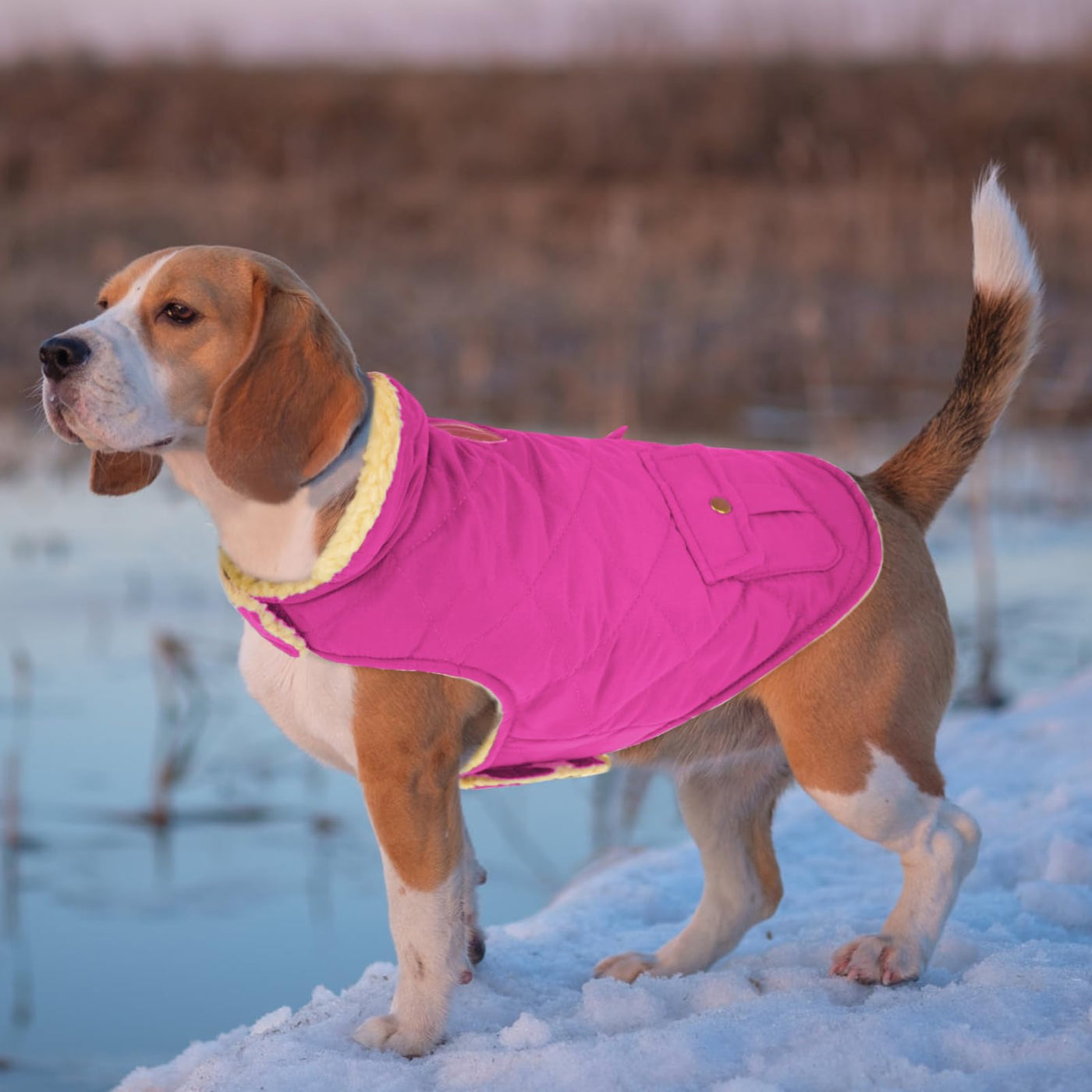 Winter Coat Dog Coat, Warm Winter Jackets with Fleece for Dogs