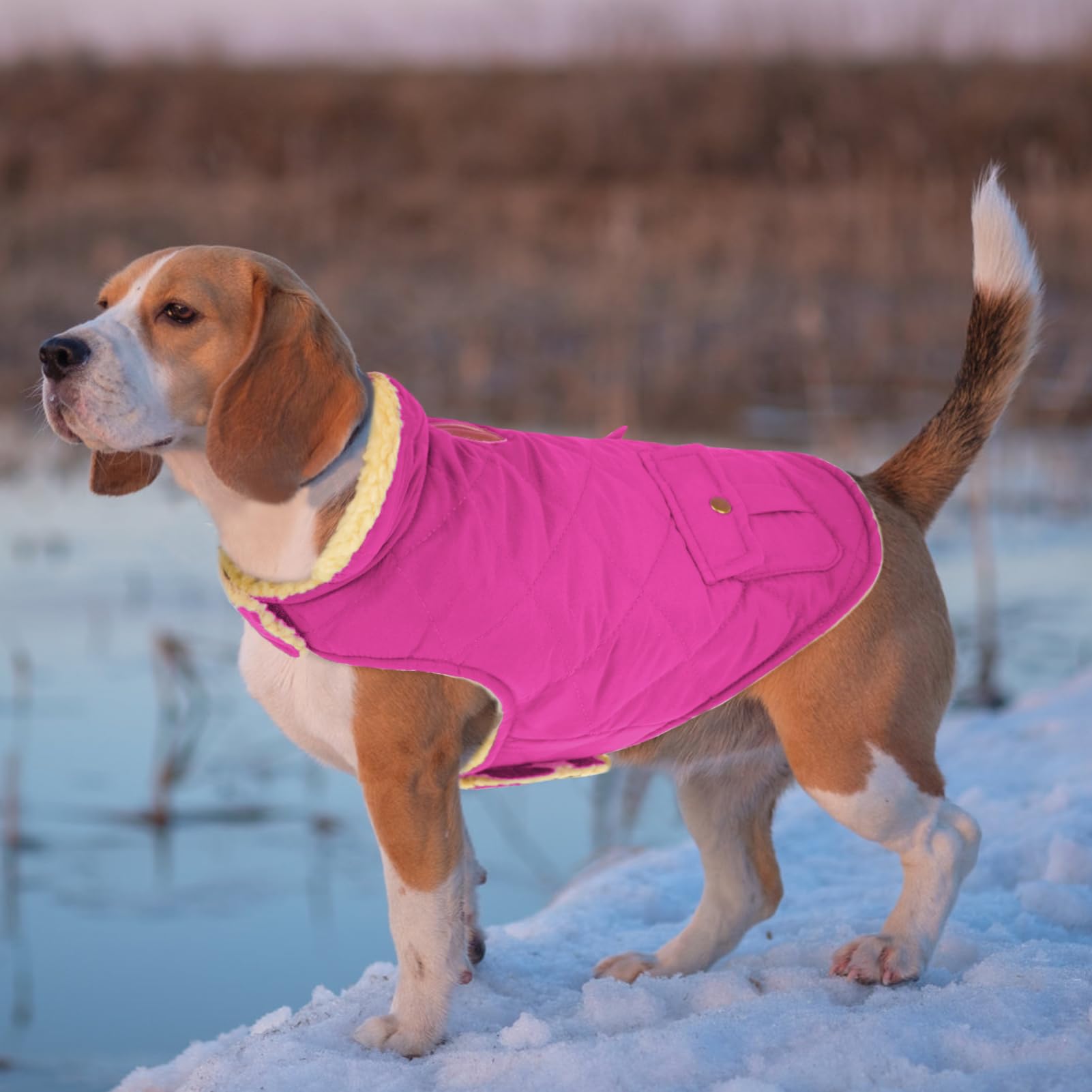 Wintermantel Hundemantel, Warme Winterjacken mit Fleece für Hunde