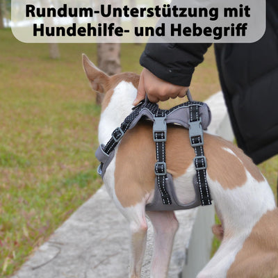 Reflective Dog Harness with Handle