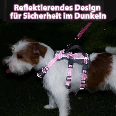Harnais Réfléchissant pour Chien avec Poignée