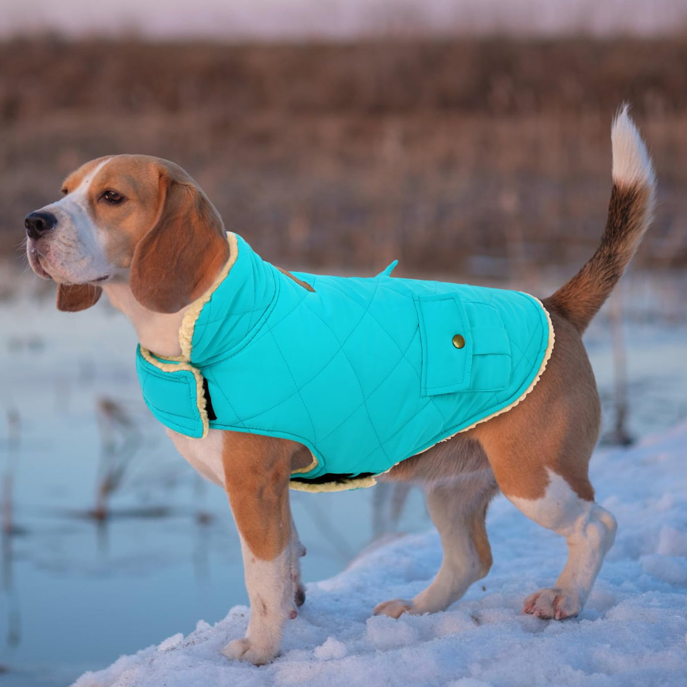 Winter Coat Dog Coat, Warm Winter Jackets with Fleece for Dogs