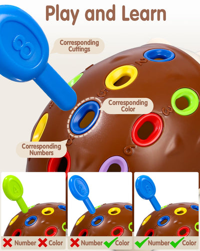 Spielzeug ab 2 Jahre Igel  Spielzeug 2 Jahre Motorikspielzeug Hand-Augen-Koordination Kleinkind Spielzeug Feinmotorisches und Sensorisches Lernspielzeug für Kinder ab 2+ Jahr