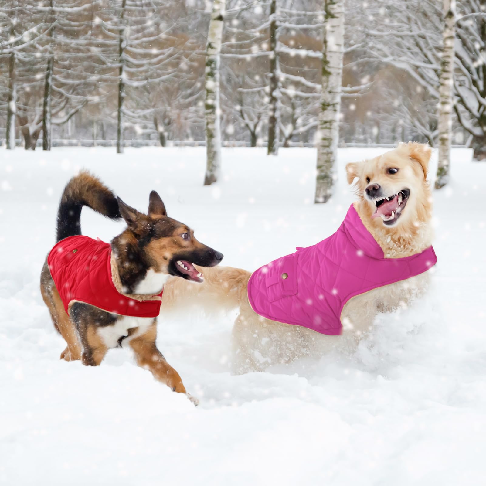 Wintermantel Hundemantel, Warme Winterjacken mit Fleece für Hunde