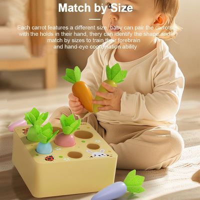 Wooden toys ,Baby motor activity toys,Sorting game wooden puzzle carrot harvesting, sorting game wooden puzzle