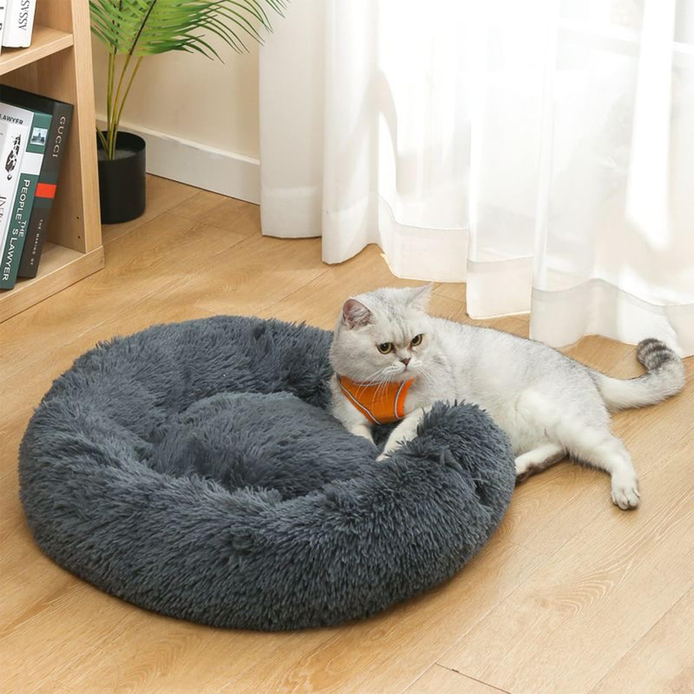 Cat Beds for Indoor Cats, Dog Bed for Small Melium Large Dogs