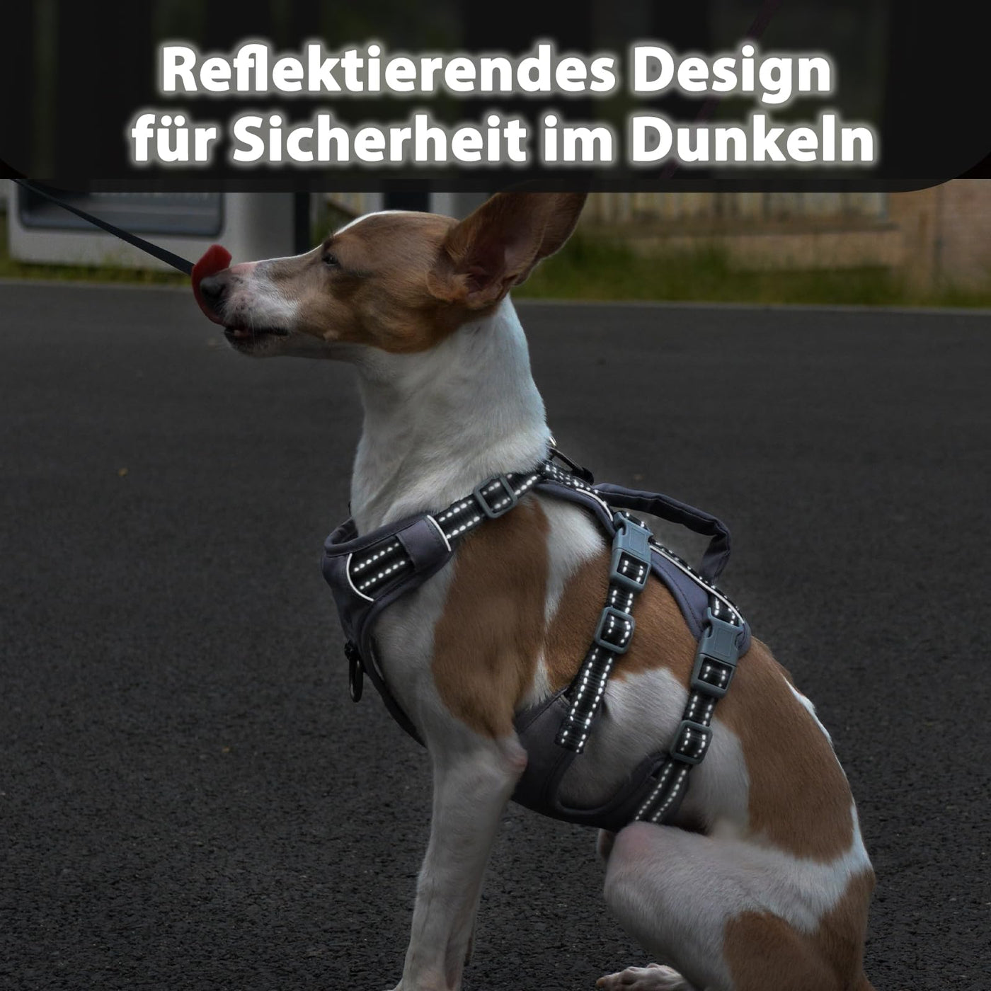 Reflective Dog Harness with Handle