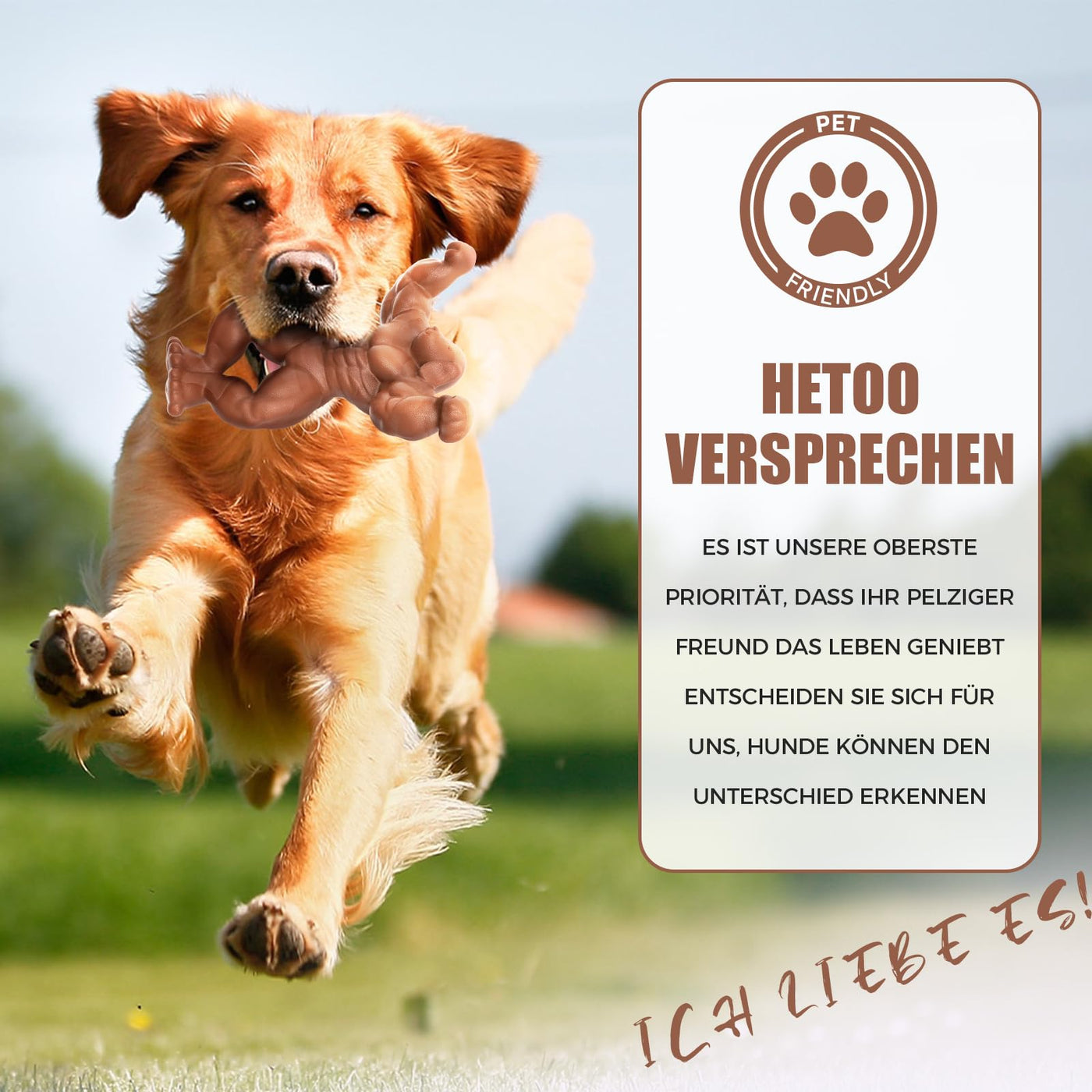 Jouet pour chien pour les mâcheurs agressifs, jouet à mâcher indestructible pour les grands chiens, jouet robuste pour les dents du chien, jouet en nylon nettoyant pour les chiens de taille moyenne et grande (Muscle).