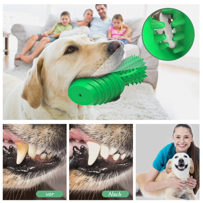 Jouet pour chien pour mâcher agressivement, jouet à mâcher pour chien presque indestructible, jouet pour chien grinçant pour chiens de taille moyenne, jouet pour chien en caoutchouc robuste et durable (Cactus).