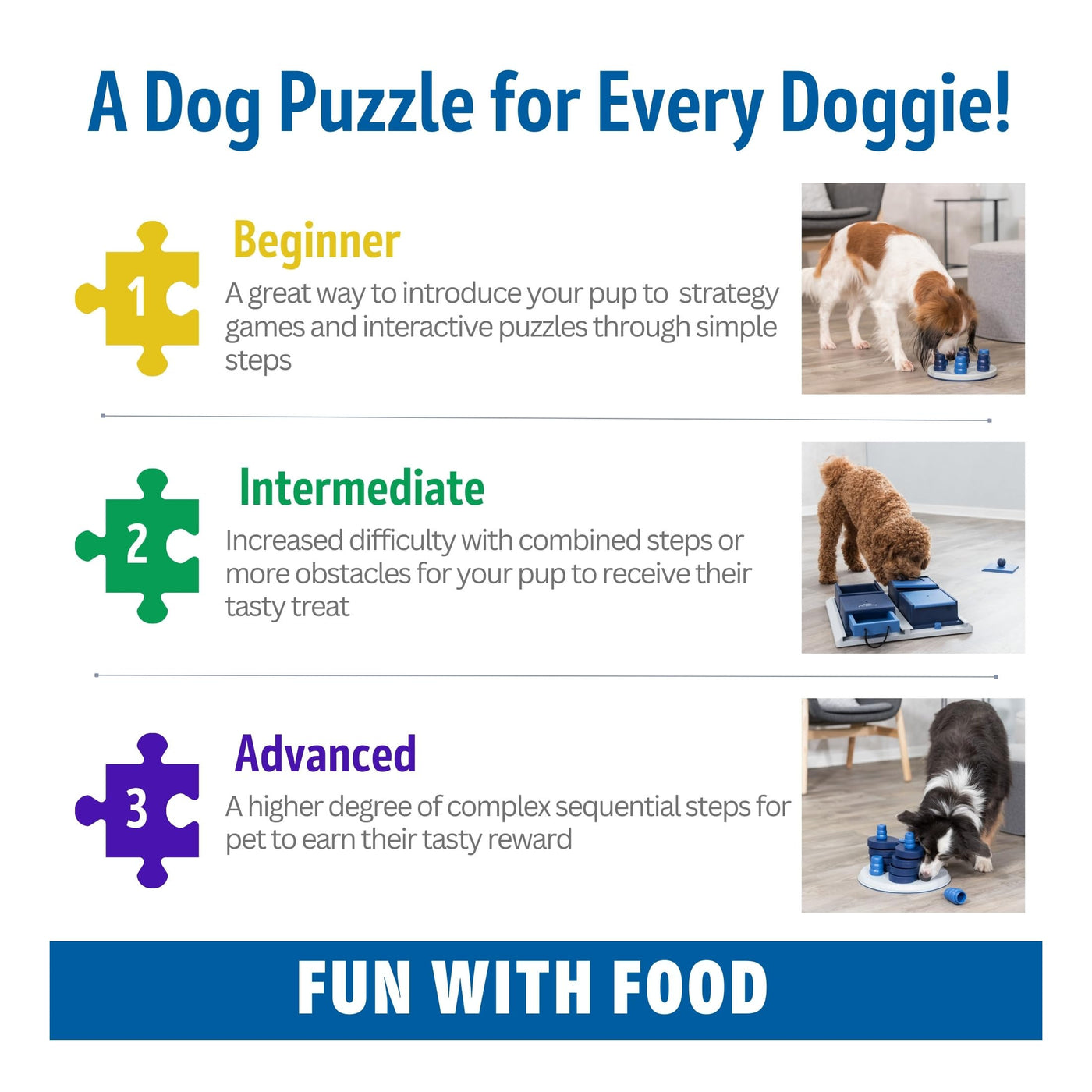 Jeu de Stratégie d'Activité Canine