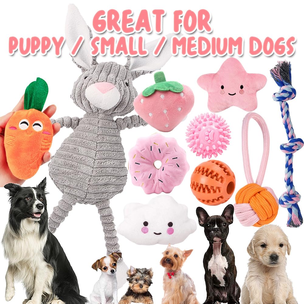 10Pcs jouets pour petits chiens, ensemble de jouets en peluche pour chiens, grinçants