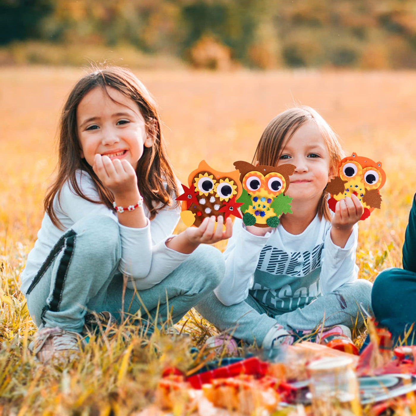 Felt craft set for decoration, 6 pieces Owl craft set, fall crafts for children, creative sets and craft supplies for children