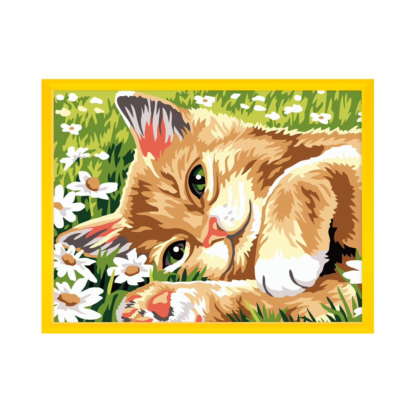 Peinture par numéros pour enfants avec cadre