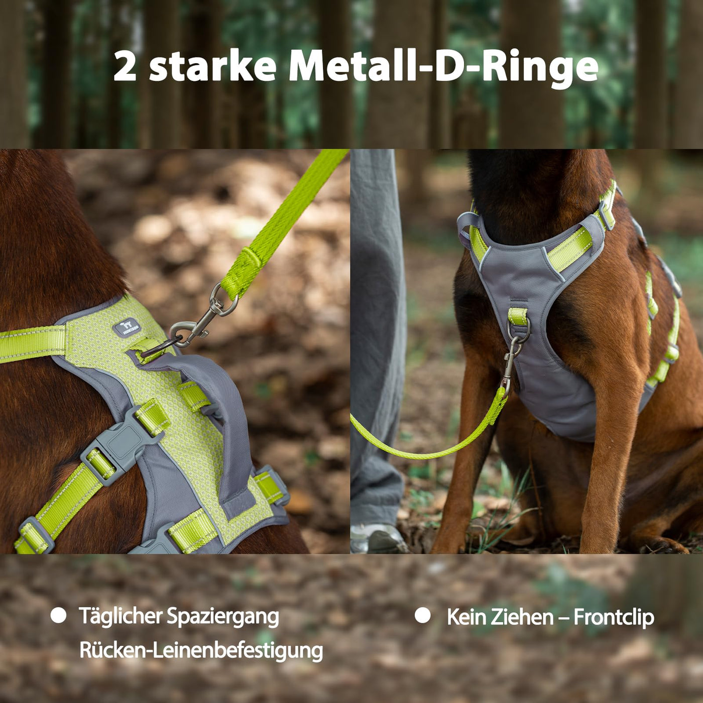 Harnais Réfléchissant pour Chien avec Poignée