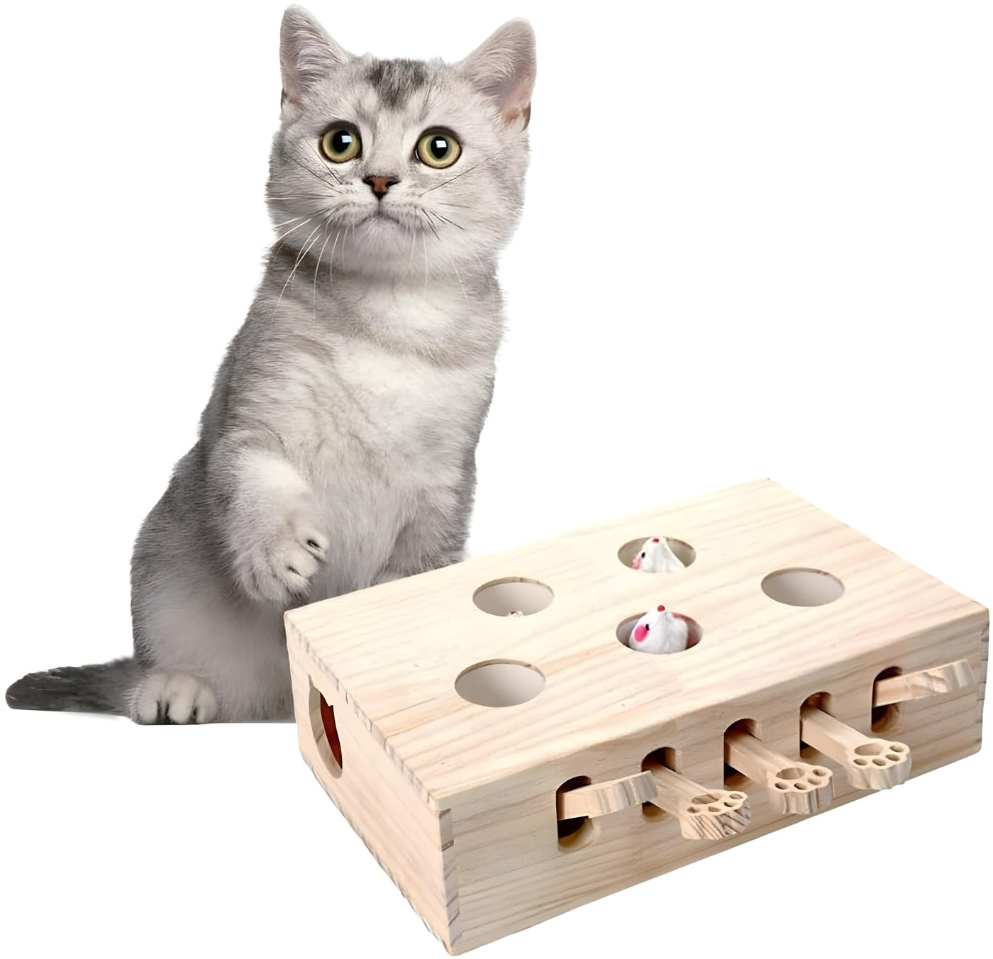 Jouet Interactif pour Chat, Jouet en Bois, Souris Taupe, Boîte de Puzzle avec Jouets pour Chats, Chasse, Jeu, Exercice, Grattage, 5 trous, Parfait pour l'exercice en intérieur et le plaisir