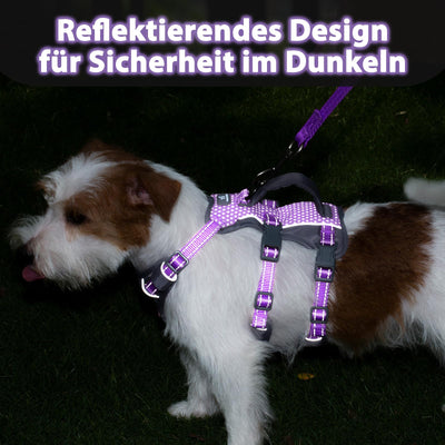 Reflective Dog Harness with Handle