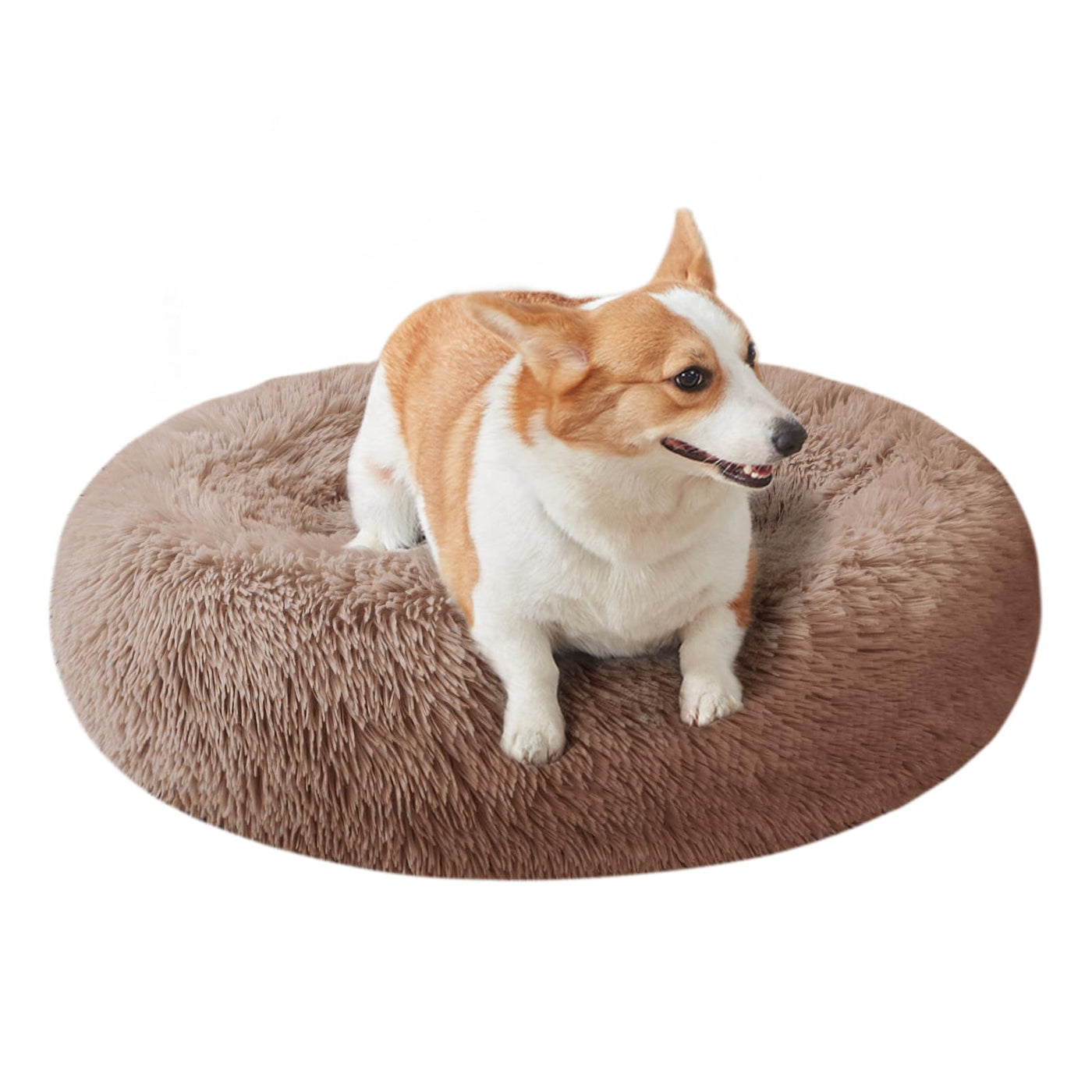 Cat Beds for Indoor Cats, Dog Bed for Small Melium Large Dogs