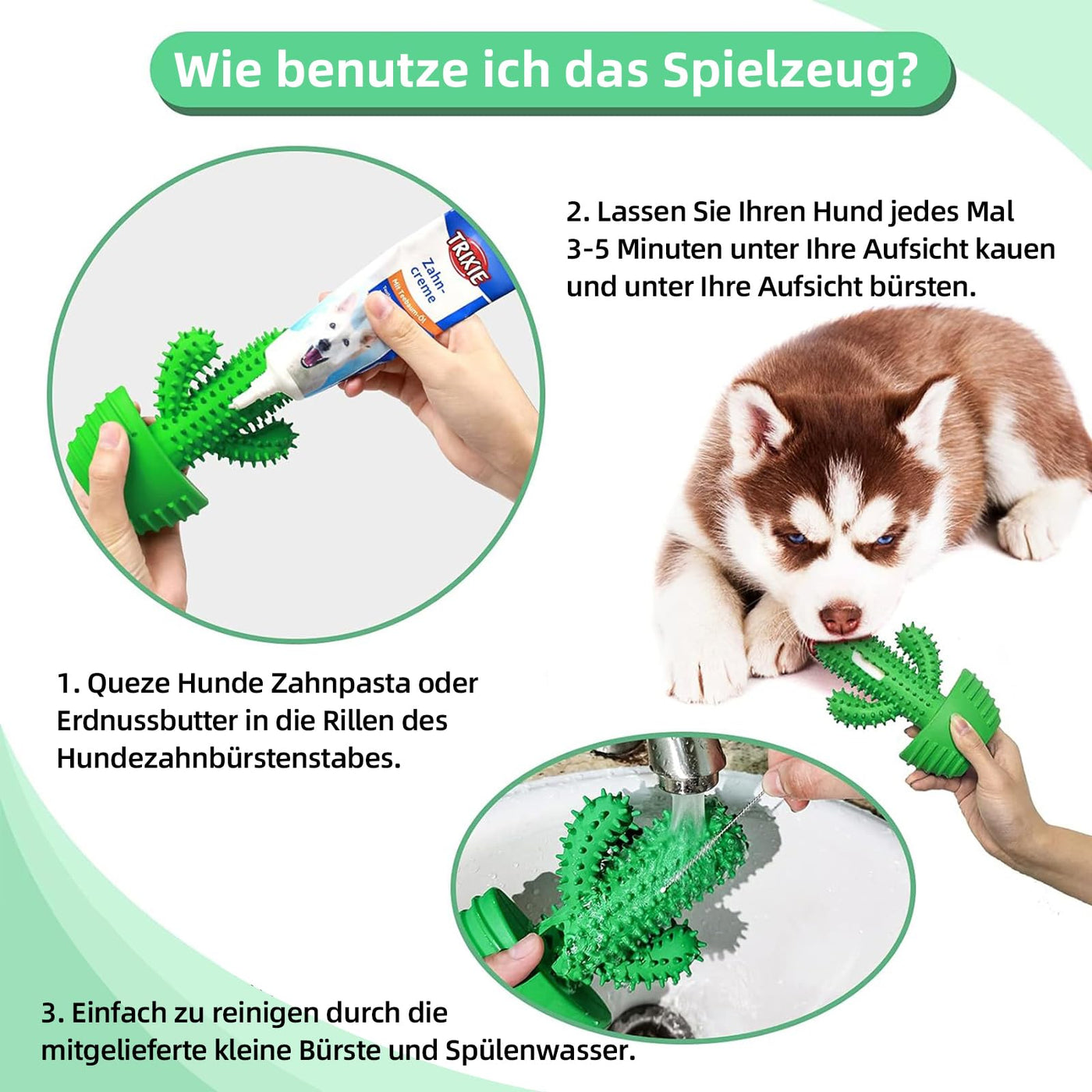 Jouet pour chien pour mâcher agressivement, jouet à mâcher pour chien presque indestructible, jouet pour chien grinçant pour chiens de taille moyenne, jouet pour chien en caoutchouc robuste et durable (Cactus).