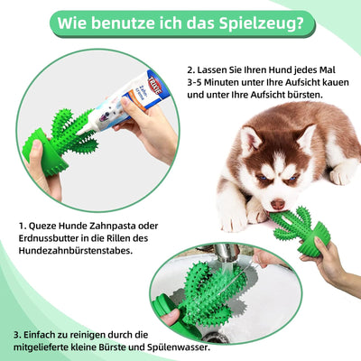 Jouet pour chien pour mâcher agressivement, jouet à mâcher pour chien presque indestructible, jouet pour chien grinçant pour chiens de taille moyenne, jouet pour chien en caoutchouc robuste et durable (Cactus).