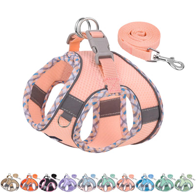 Gilet pour tous les temps, vaisselle réfléchissante pour animaux de compagnie