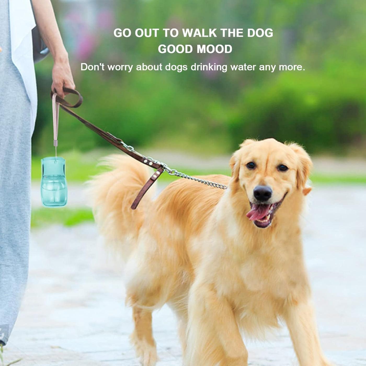Foldable water bottle for dogs on the go