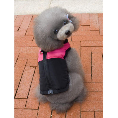 Vêtements d'hiver Chauds pour Chiens de Compagnie Petits Imperméables