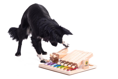 Piano - Jouet interactif en bois pour chien Jouet intelligent pour chiens et chats Jouet distributeur de friandises