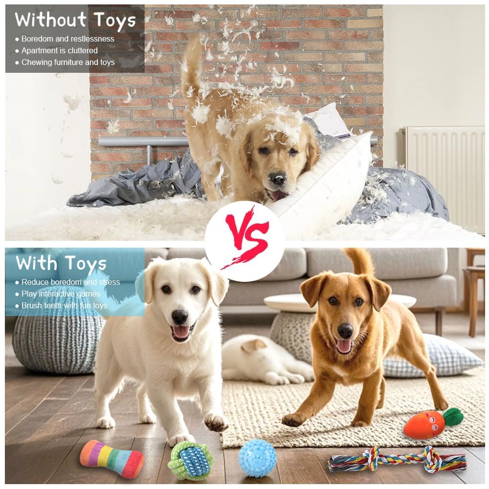 Ensemble de jouets pour Chiens, Jouet pour Chien Petits Chiens, Peluche avec Couineur, Jouet à mâcher Grinçant pour Petits Chiens Moyens, Peluche