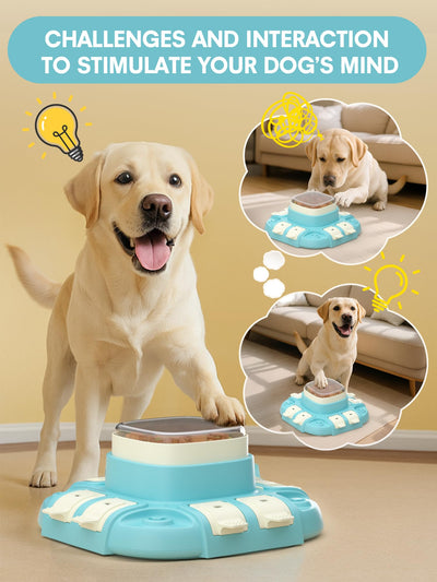 Intelligence de jouet pour Chien, Mangeoire Lente pour chiens, Jouet d'intelligence de chien pour Chiens Petits/moyens / Grands Chiens Jouet Intelligent