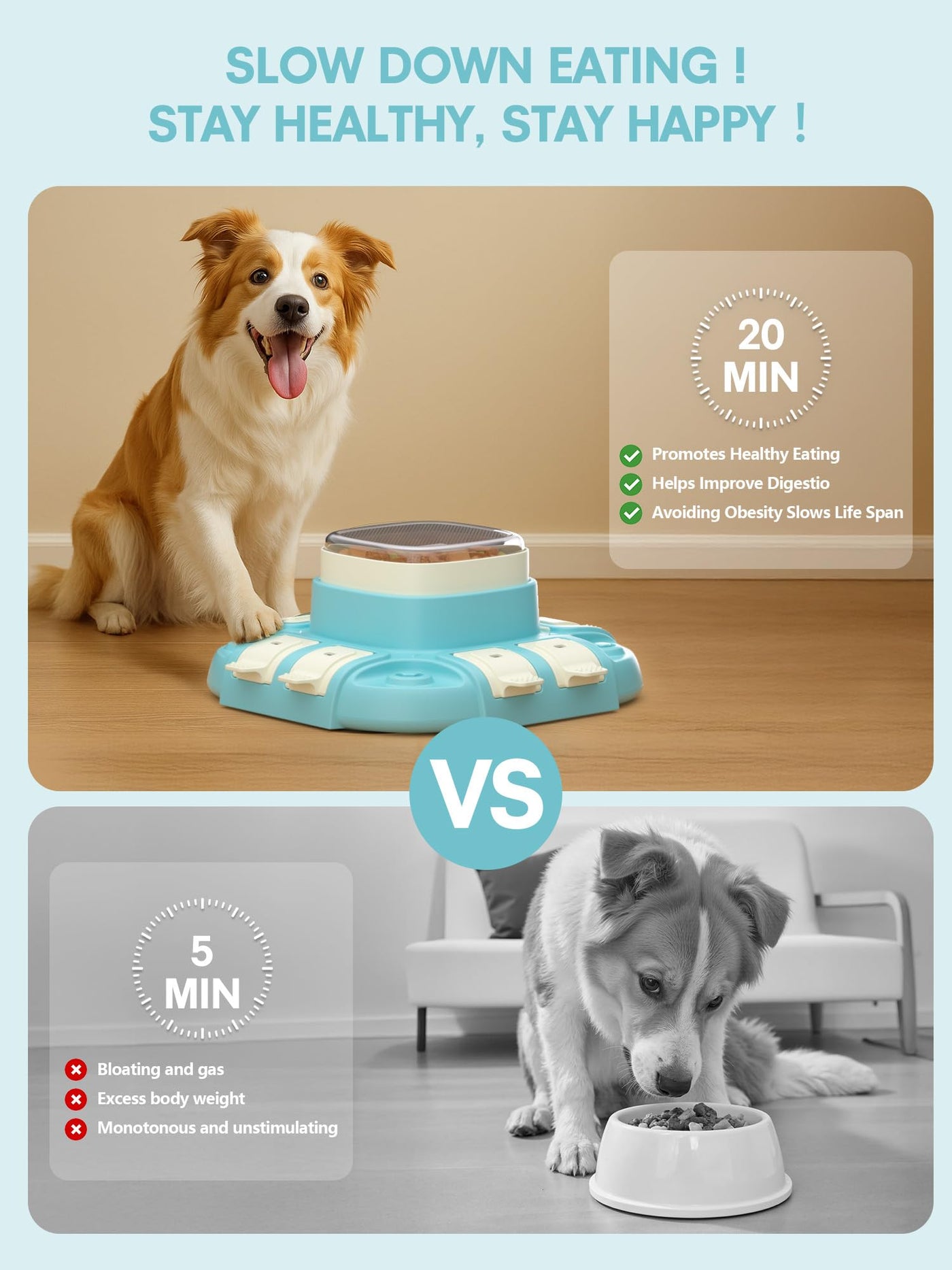 Intelligence de jouet pour Chien, Mangeoire Lente pour chiens, Jouet d'intelligence de chien pour Chiens Petits/moyens / Grands Chiens Jouet Intelligent
