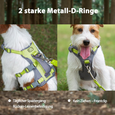 Harnais Réfléchissant pour Chien avec Poignée