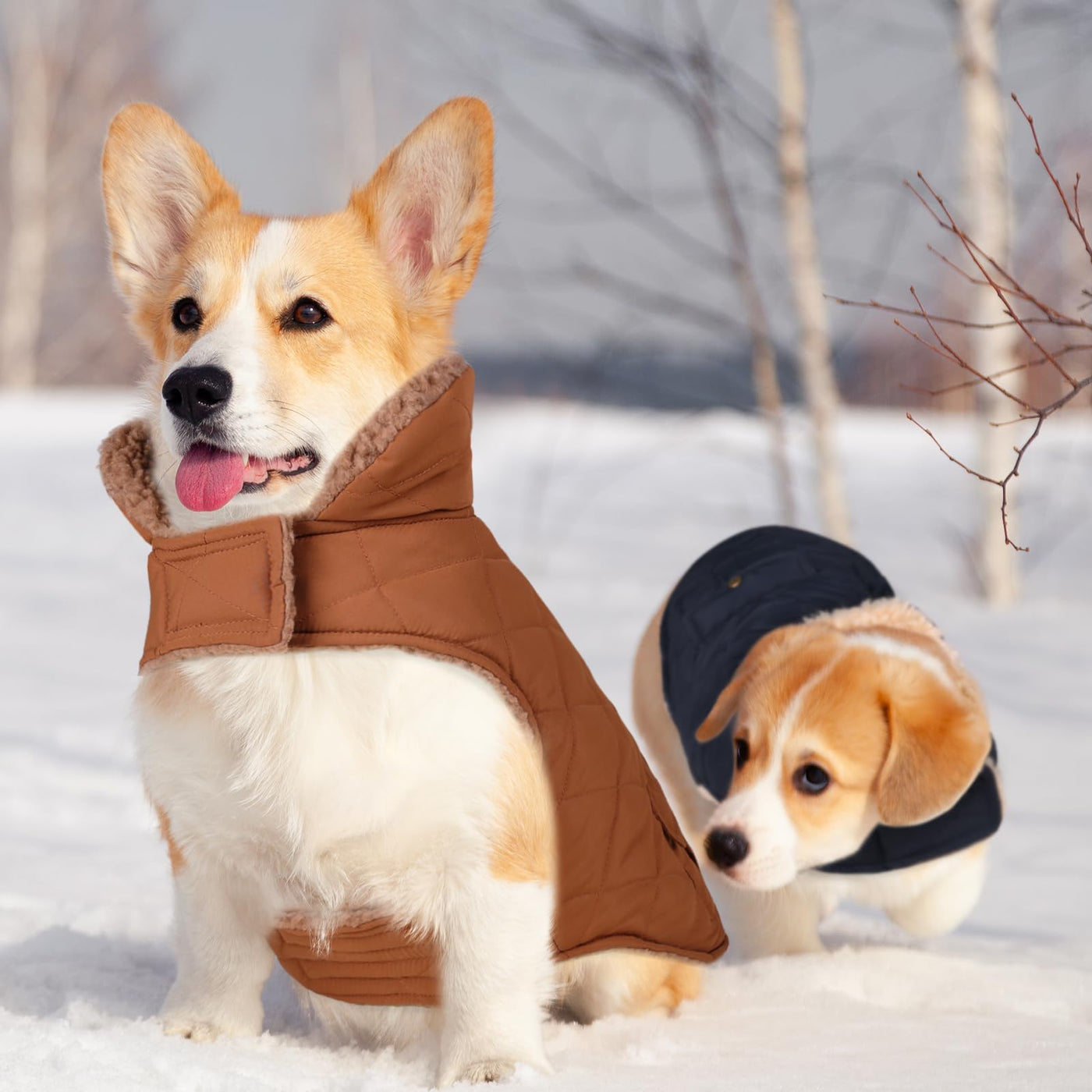 Winter Coat Dog Coat, Warm Winter Jackets with Fleece for Dogs