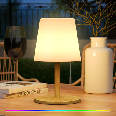 LED Outdoor Table Lamp with 8 Colors Cordless Lamp