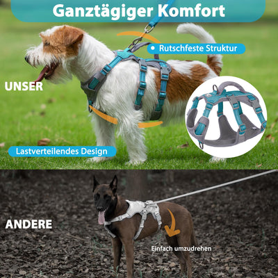 Harnais Réfléchissant pour Chien avec Poignée