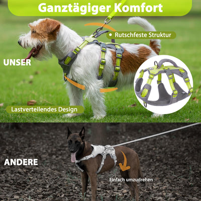 Harnais Réfléchissant pour Chien avec Poignée