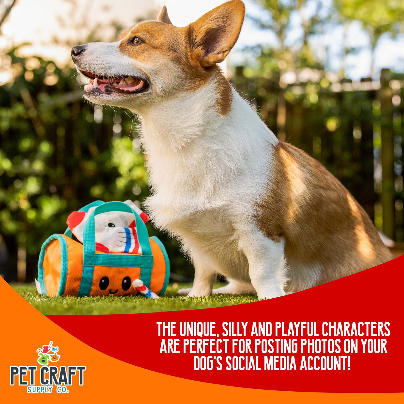 Cache-cache En Peluche Jouet pour Chien Froissé Grinçant Puzzle Interactif Mâcher Chercher des Friandises Cacher Stimulant le Cerveau Jouet Drôle Mignon