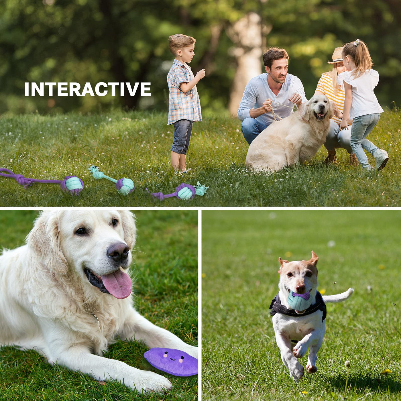 jouets pour chien, ensemble de jouets pour chien, ensemble de jouets à mâcher de 20 pièces pour chiens de petite/moyenne taille, jouets pour chiots pour les soins dentaires des chiens