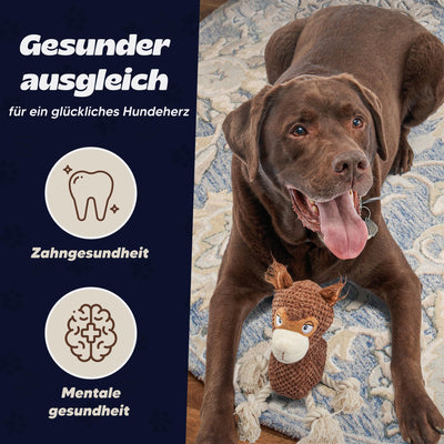 Jouet pour Chien en Peluche lpaca Bruno, Jouet Mignon pour Chien Grinçant avec du papier froissé, Jouet à Mâcher pour Chien Rosée pour Petits, moyens et Grands Chiens